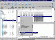 FastTrackMail Lite screenshot